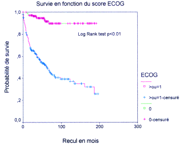 Most cancers Du Rein Taux De Survie