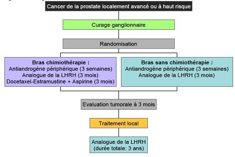 Hormonothérapie Traitement most cancers Prostate